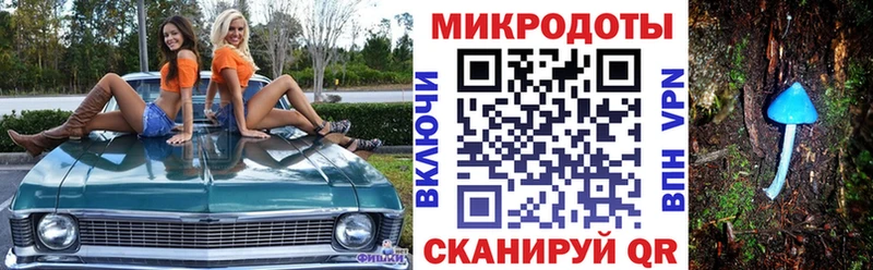 Галлюциногенные грибы Cubensis Рудня