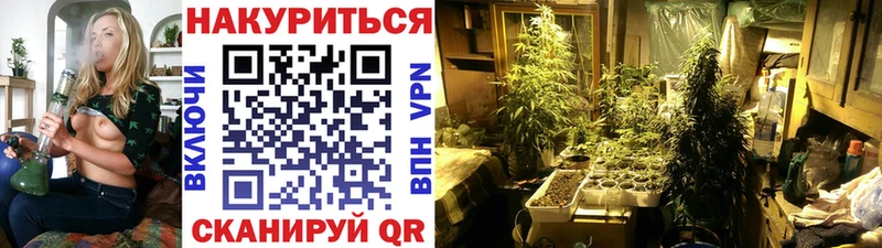 что такое наркотик  Рудня  Марихуана планчик 